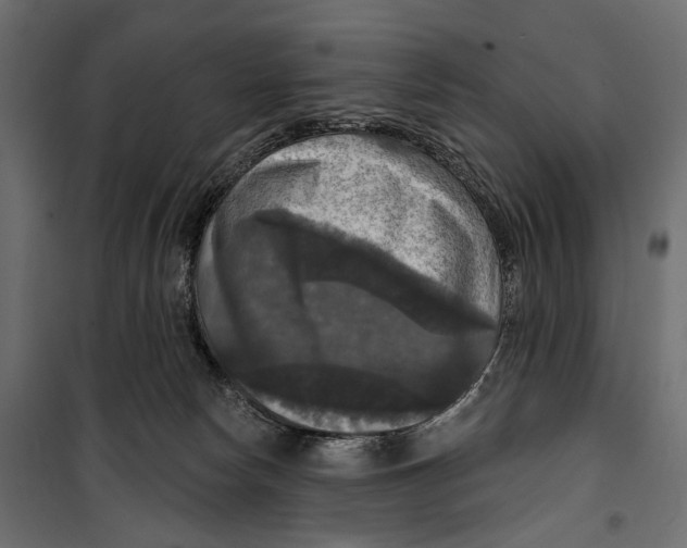 X0000099950178200806201322