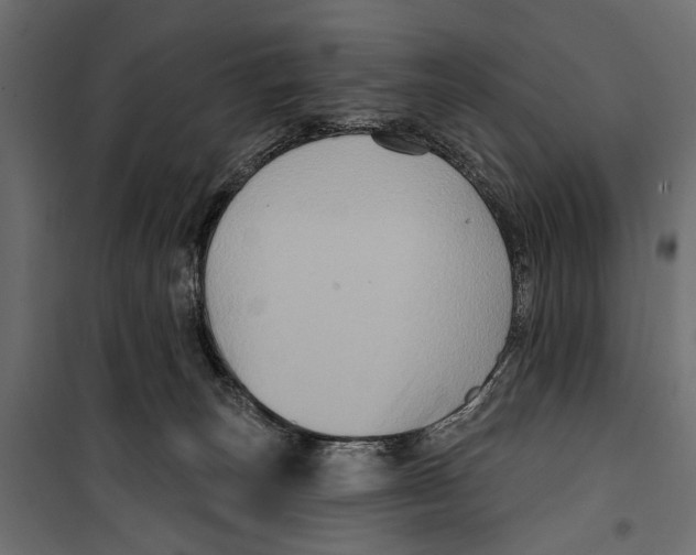 X0000099950179200806201322