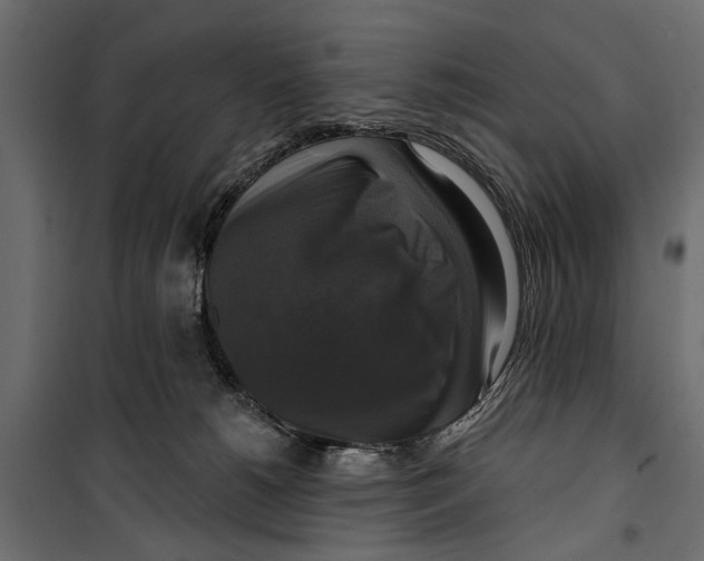 X0000099950180200806201322