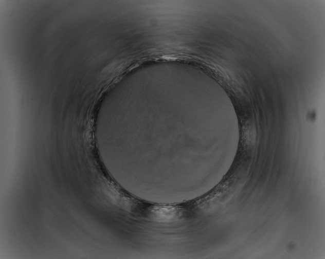 X0000099950181200806201322