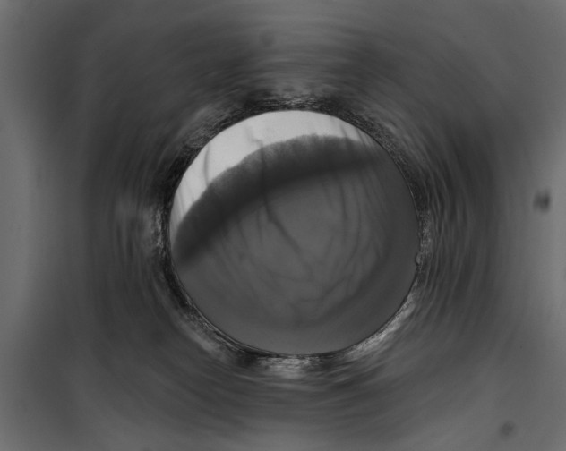 X0000099950182200806201322