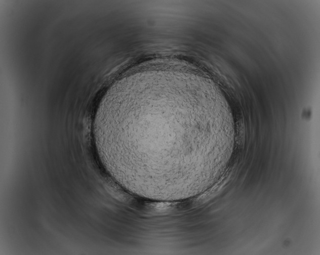 X0000099950184200806201322
