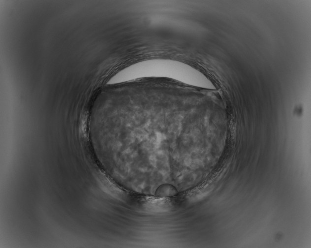 X0000099950185200806201322