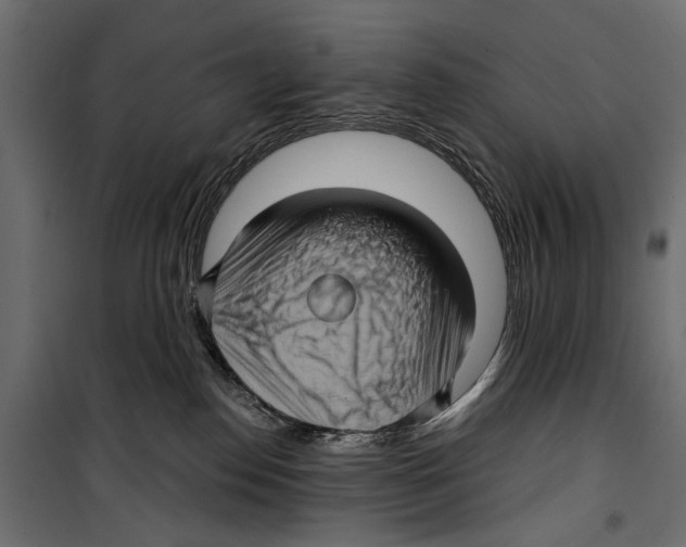 X0000099950186200806201322