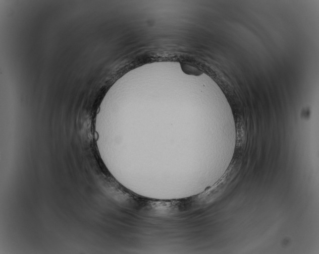 X0000099950187200806201322