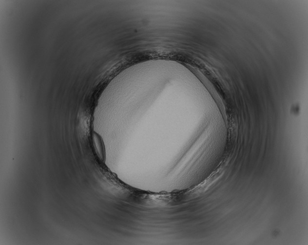 X0000099950188200806201322