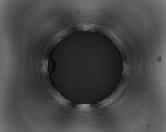 X0000099950189200806201322