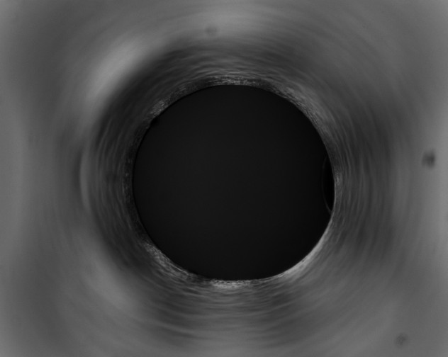 X0000099950190200806201322