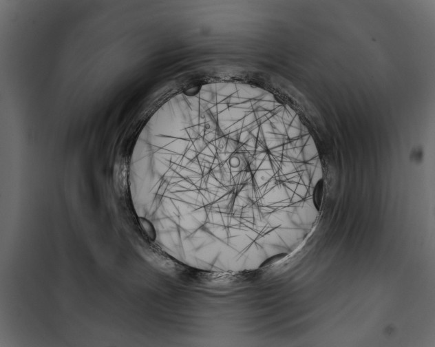 X0000099950191200806201322