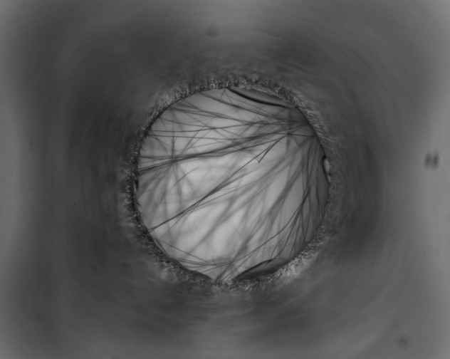 X0000099950192200806201322