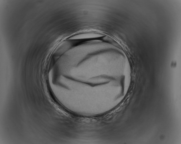 X0000099950193200806201322