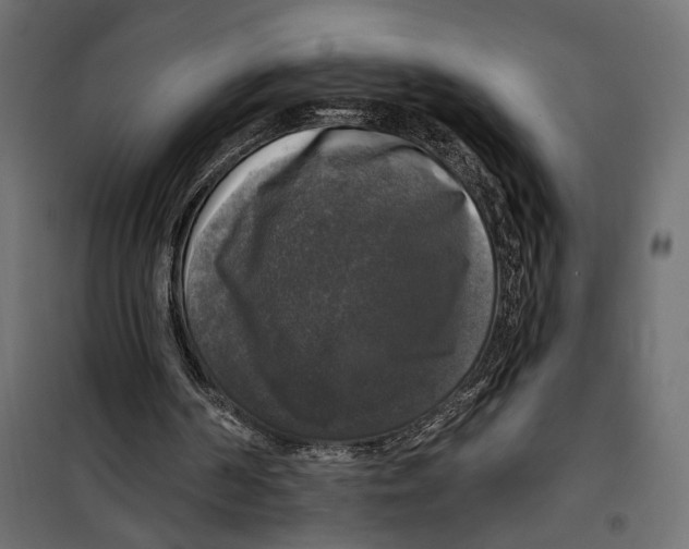 X0000099950194200806201322