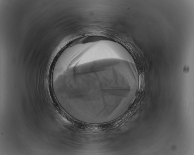 X0000099950195200806201322