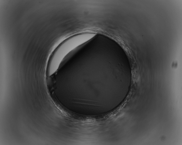 X0000099950196200806201321