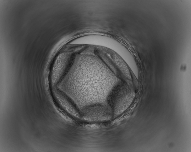 X0000099950197200806201321