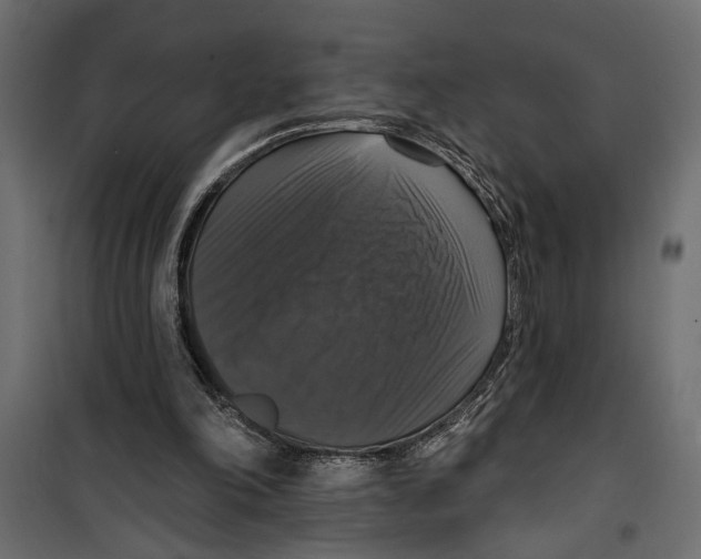 X0000099950198200806201321
