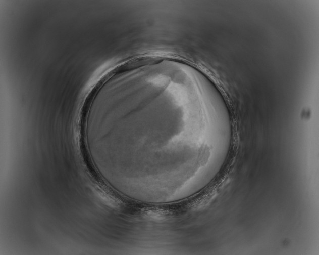 X0000099950199200806201321