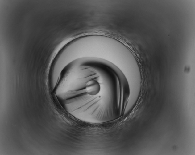 X0000099950200200806201321