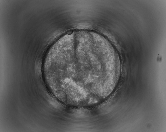 X0000099950201200806201321