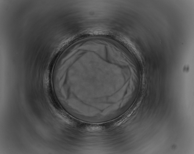 X0000099950202200806201321