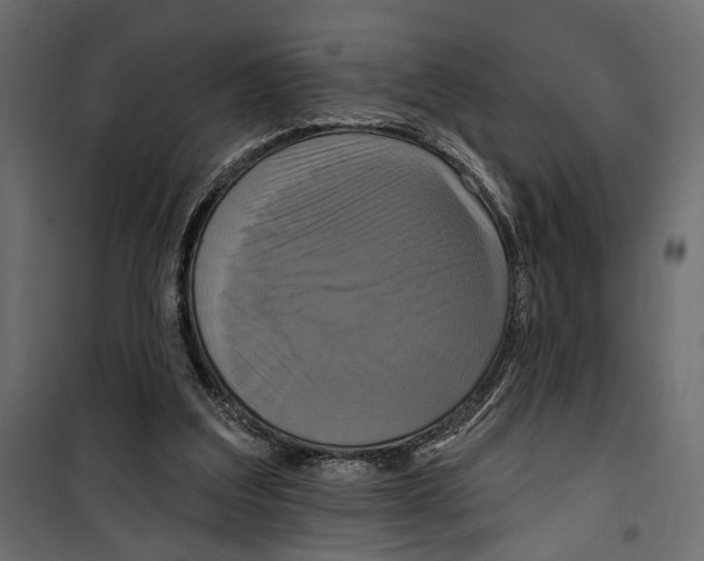 X0000099950203200806201321