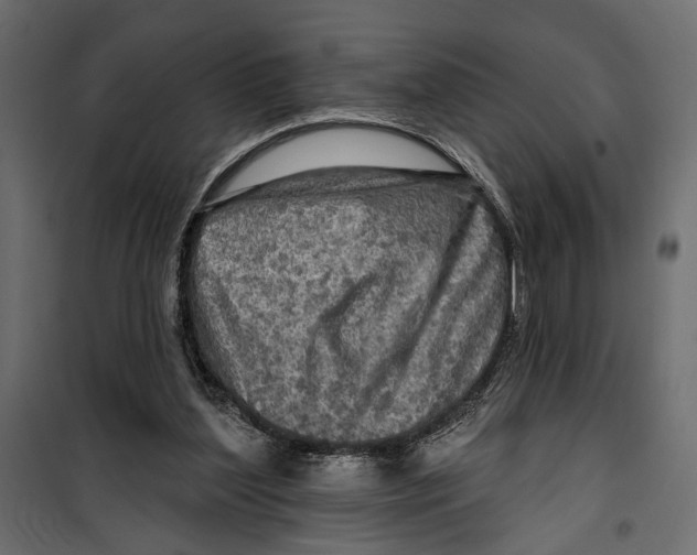 X0000099950204200806201321
