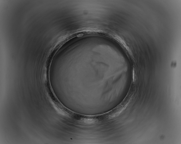 X0000099950205200806201321