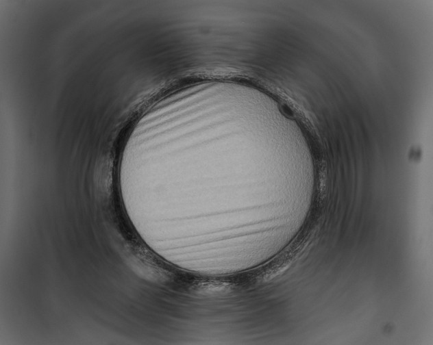 X0000099950206200806201321