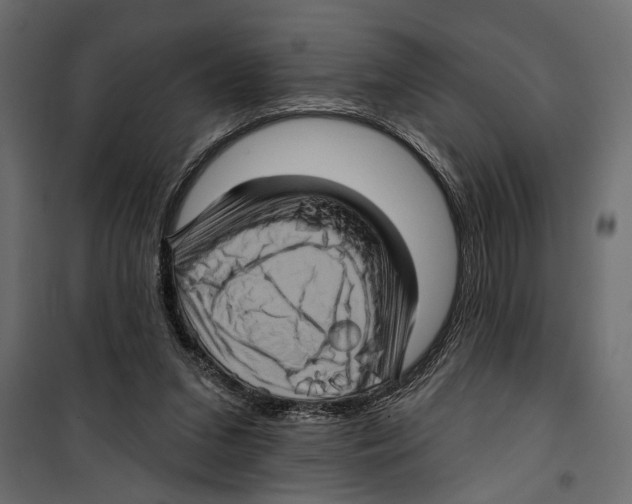 X0000099950207200806201321