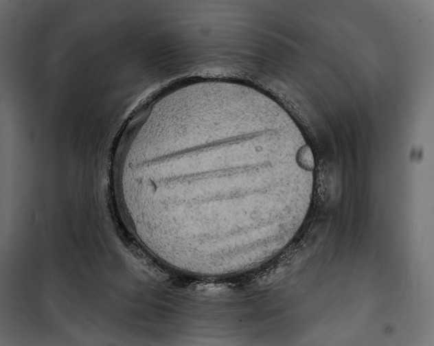 X0000099950208200806201321