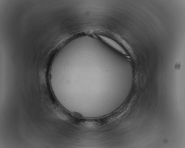 X0000099950209200806201321