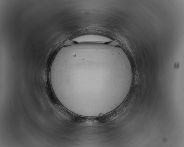 X0000099950210200806201321