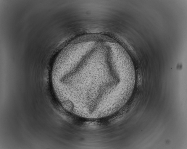 X0000099950211200806201321