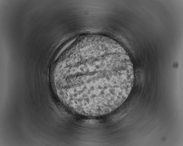 X0000099950212200806201321