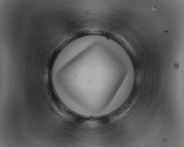 X0000099950213200806201321