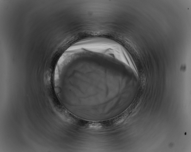 X0000099950214200806201321