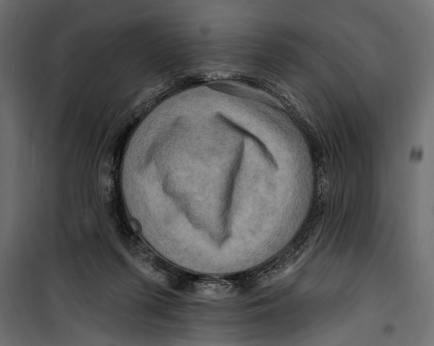 X0000099950215200806201321