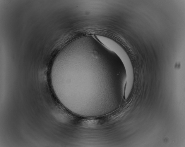 X0000099950217200806201321