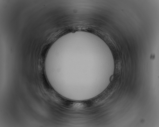 X0000099950218200806201321