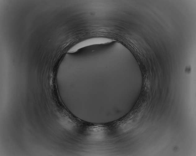 X0000099950219200806201321