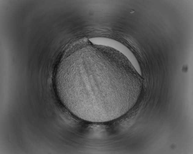 X0000099950221200806201321