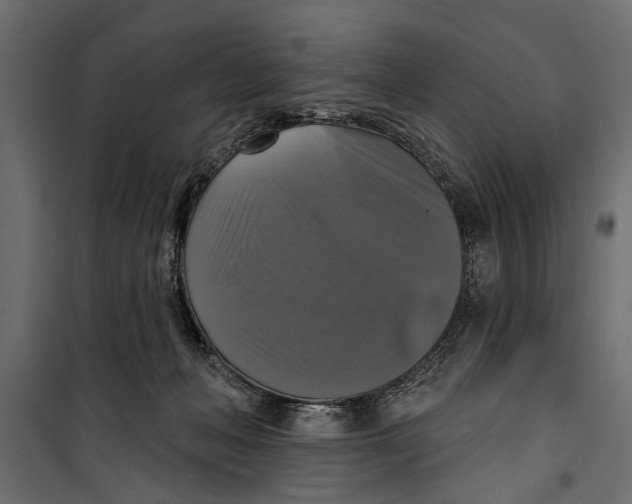 X0000099950222200806201321