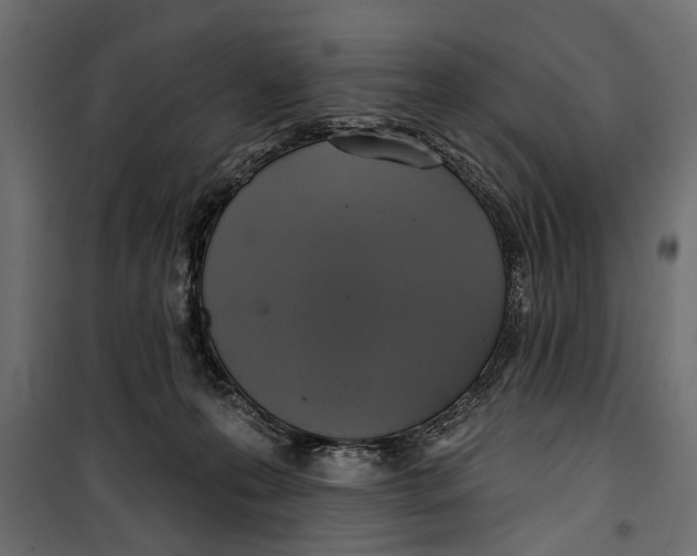 X0000099950223200806201321
