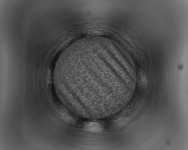 X0000099950224200806201321