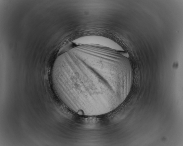 X0000099950225200806201321