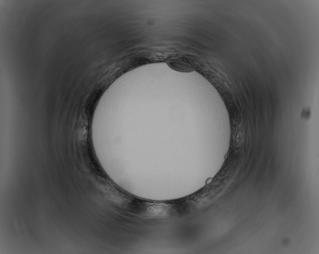 X0000099950226200806201321