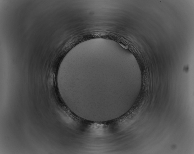 X0000099950227200806201321