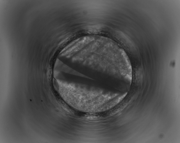 X0000099950228200806201321