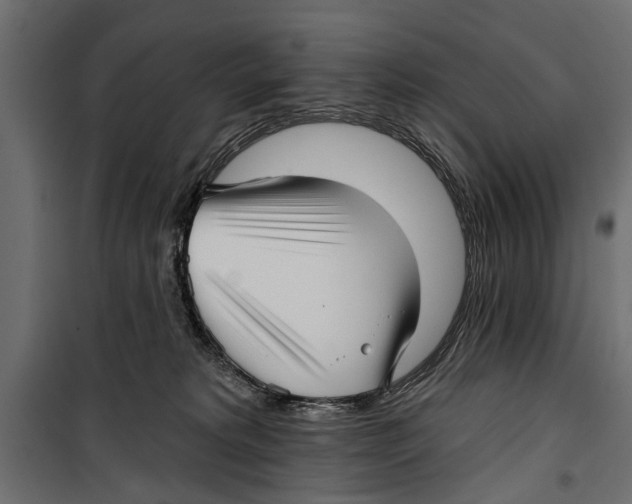 X0000099950229200806201321