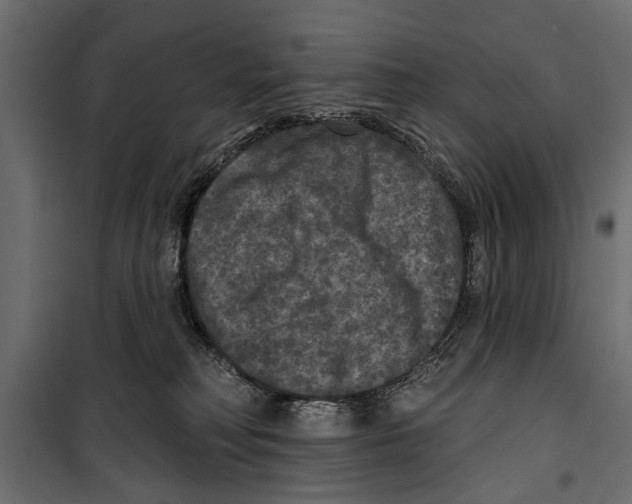 X0000099950230200806201321